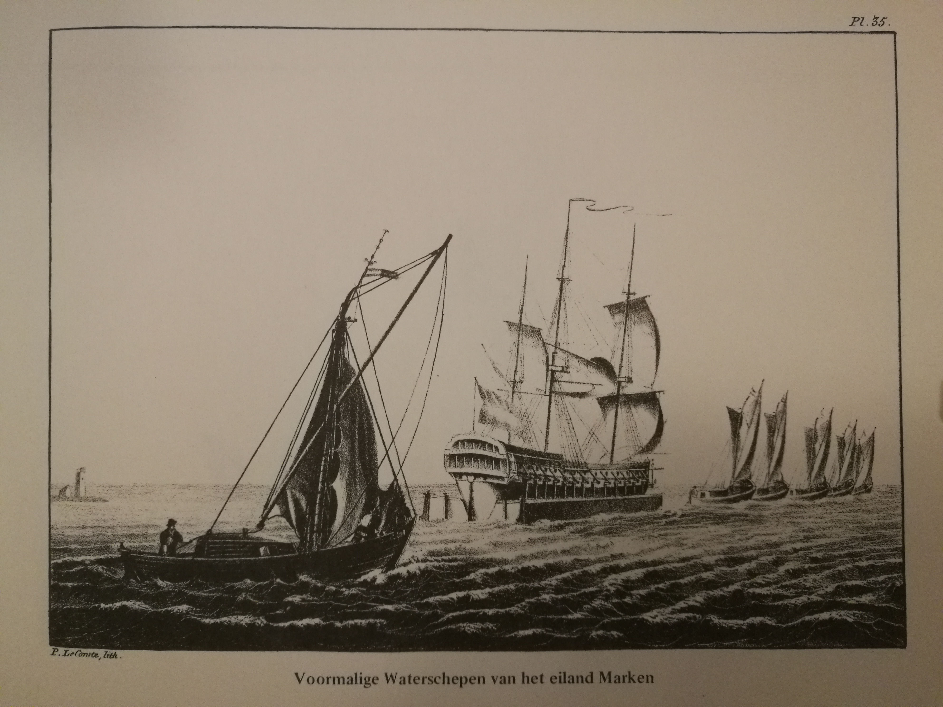 Scheepskameel