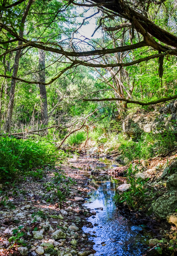 Mayfield Park and Nature Preserve