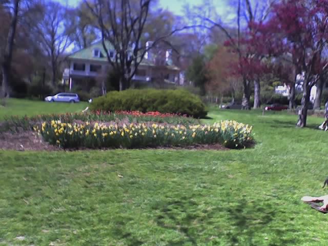 Sherwood Gardens