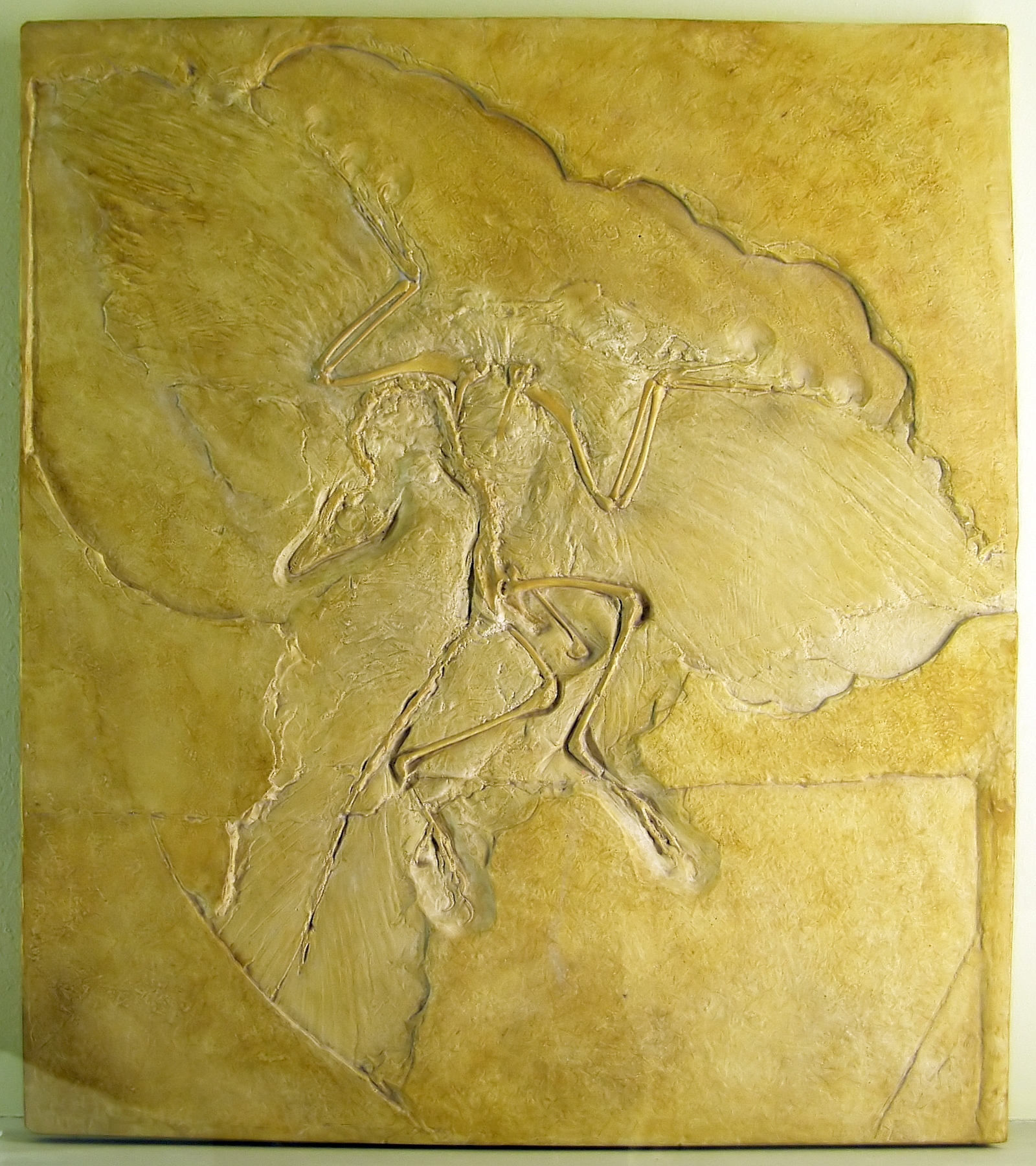 Naturkundemuseum (Museum für Naturkunde)