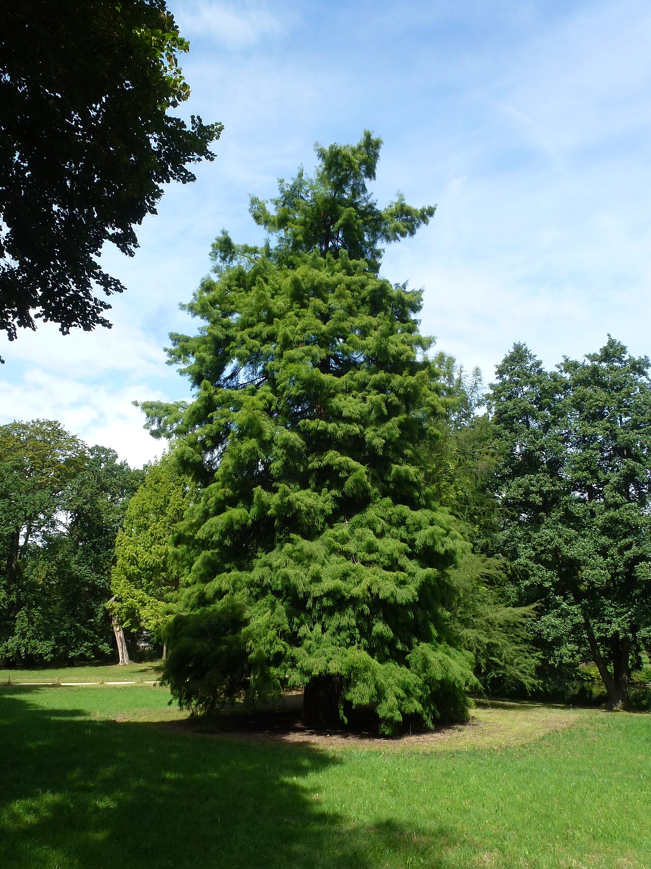 Schlosspark Charlottenburg
