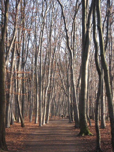 Volkspark Rehberge