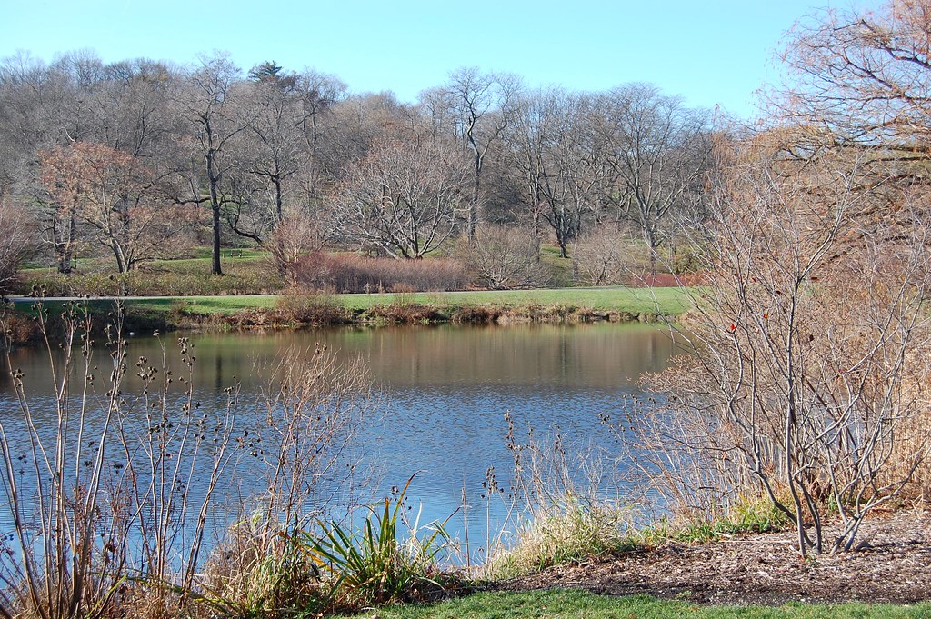 Arnold Arboretum