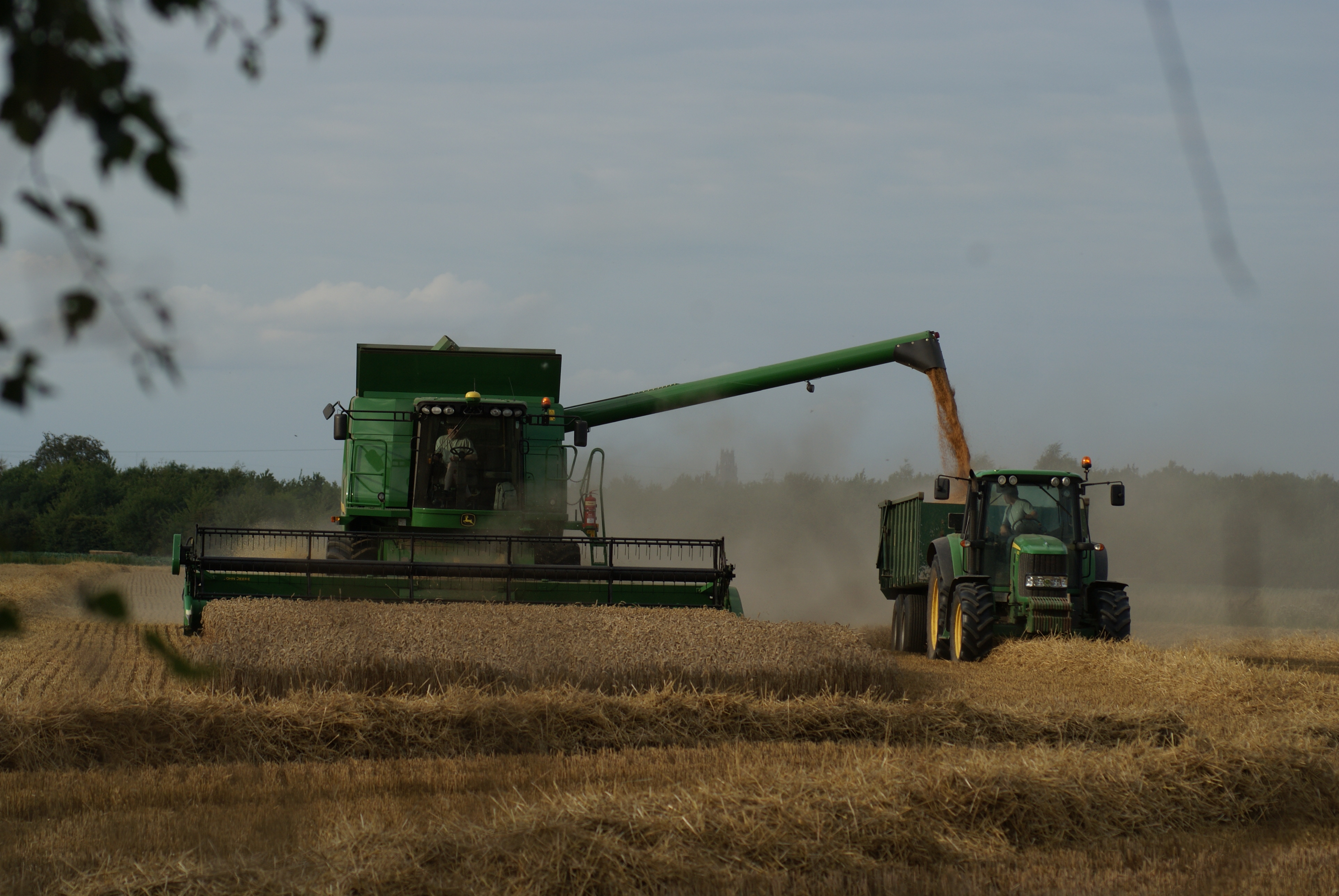 Harvest