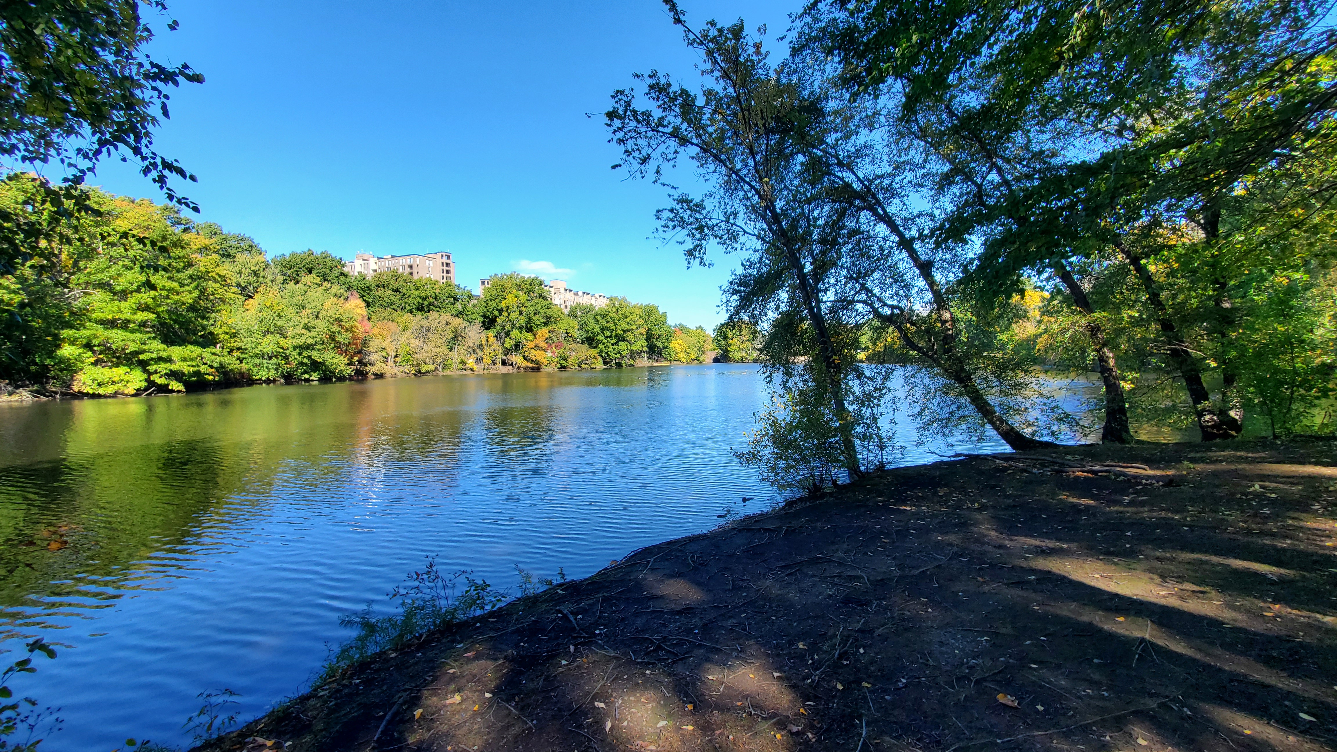 Olmsted Park