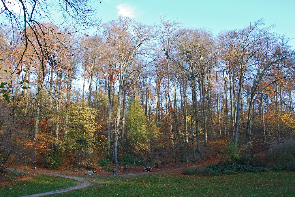 Parc Duden