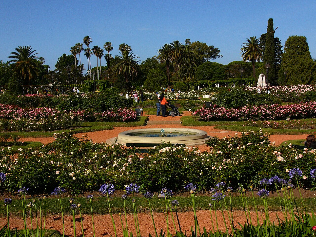 Palermo Parks & Rose Garden (Rosedal)