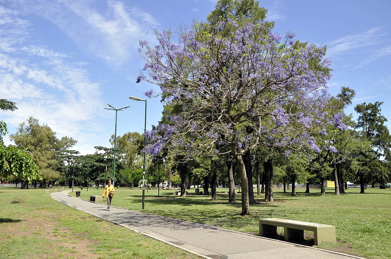 Parque Saavedra