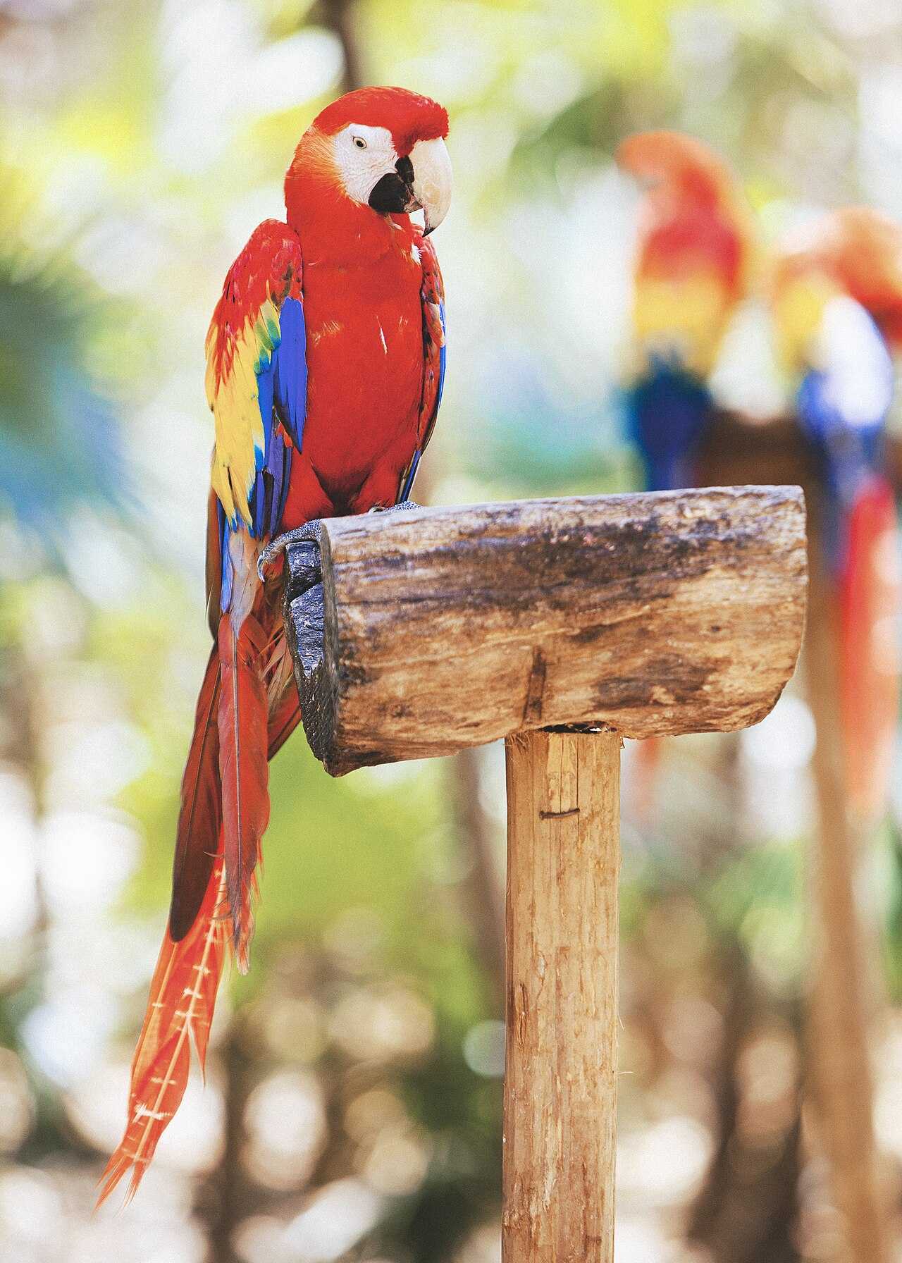 Xcaret Park