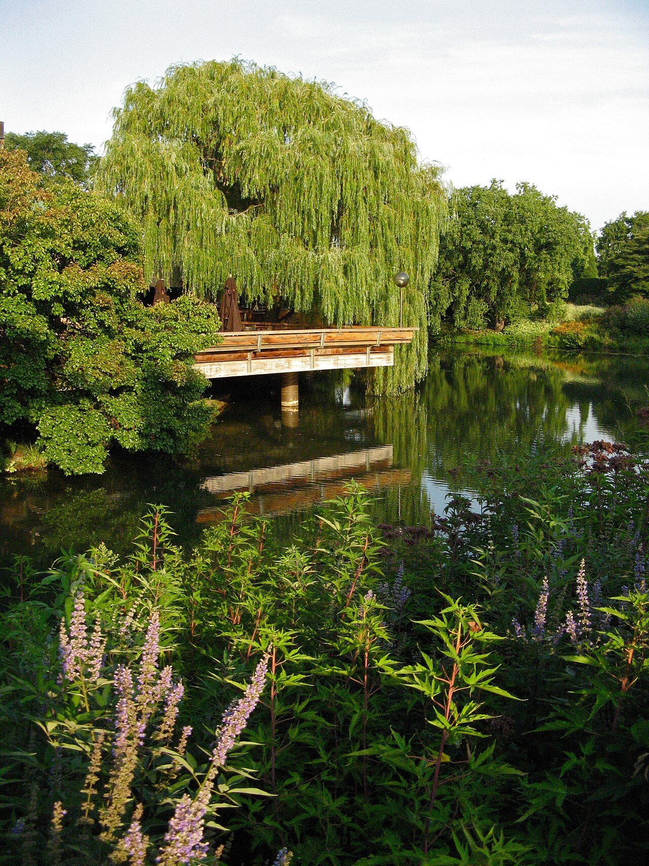 Chicago Botanic Garden Market