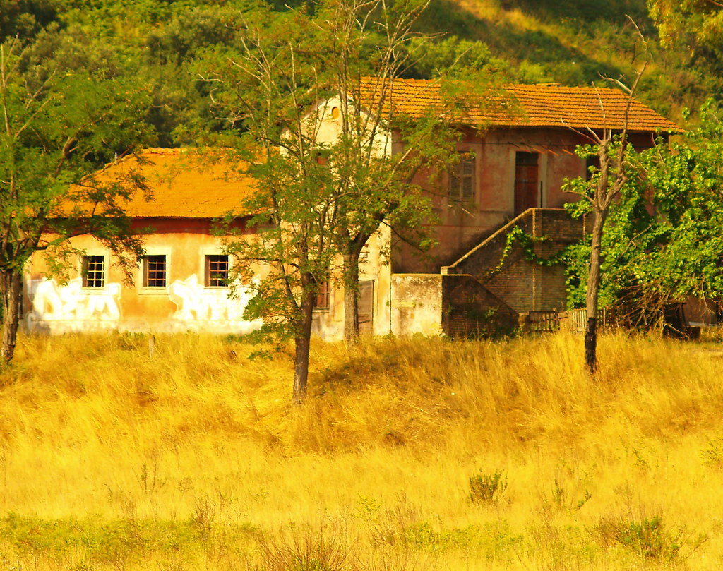 The Rustic