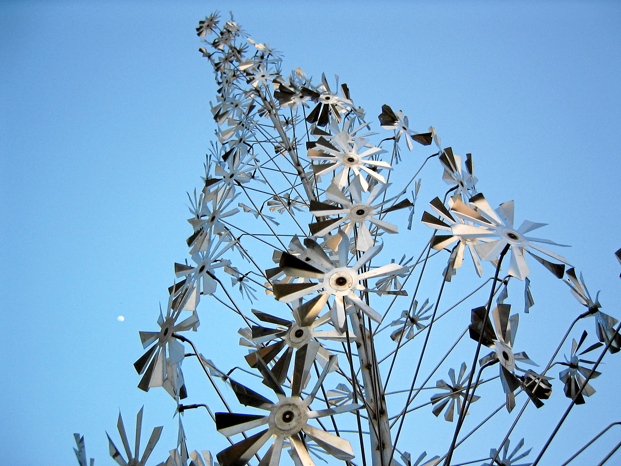 Garden of Five Senses