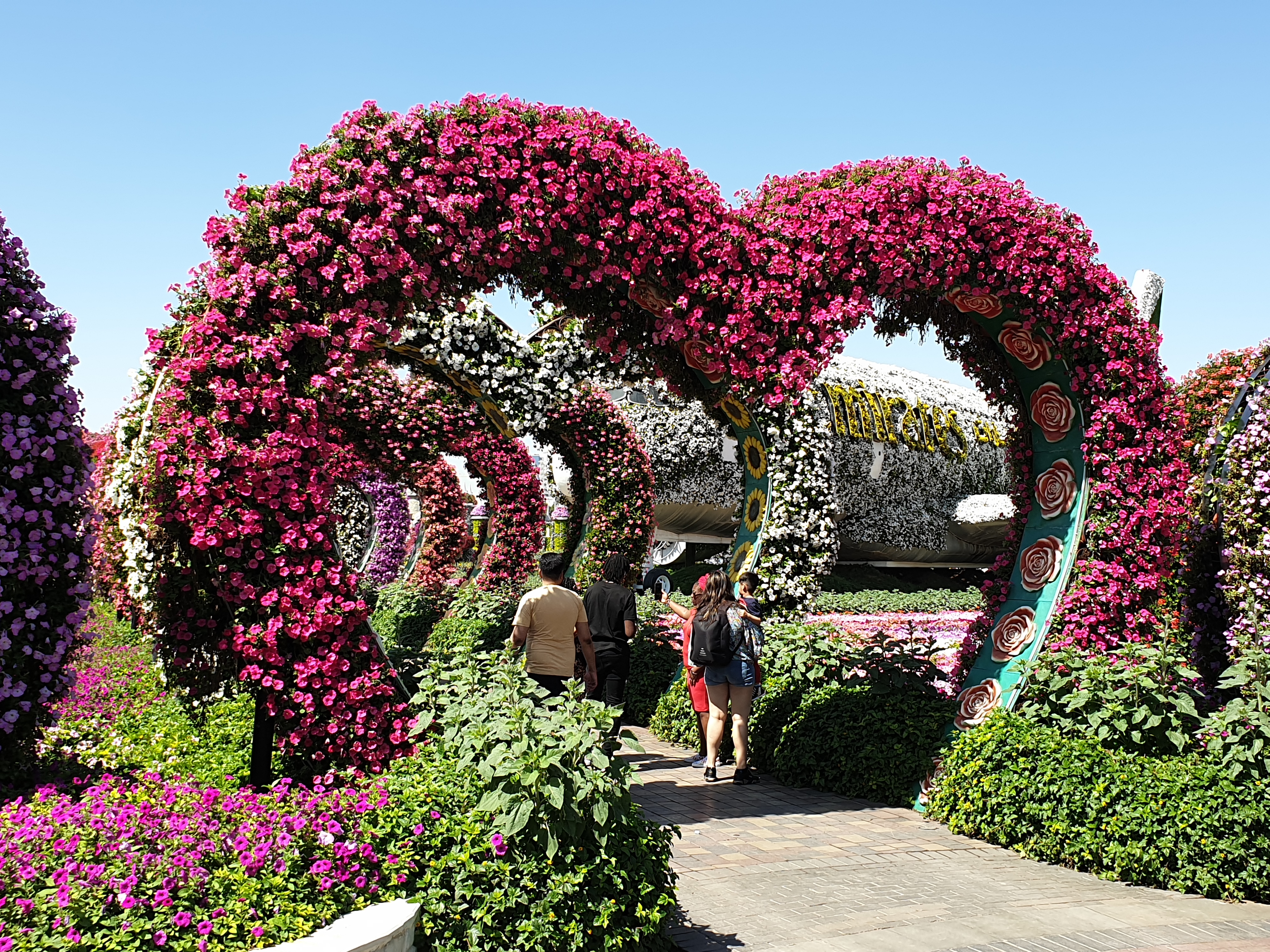 Dubai Miracle Garden