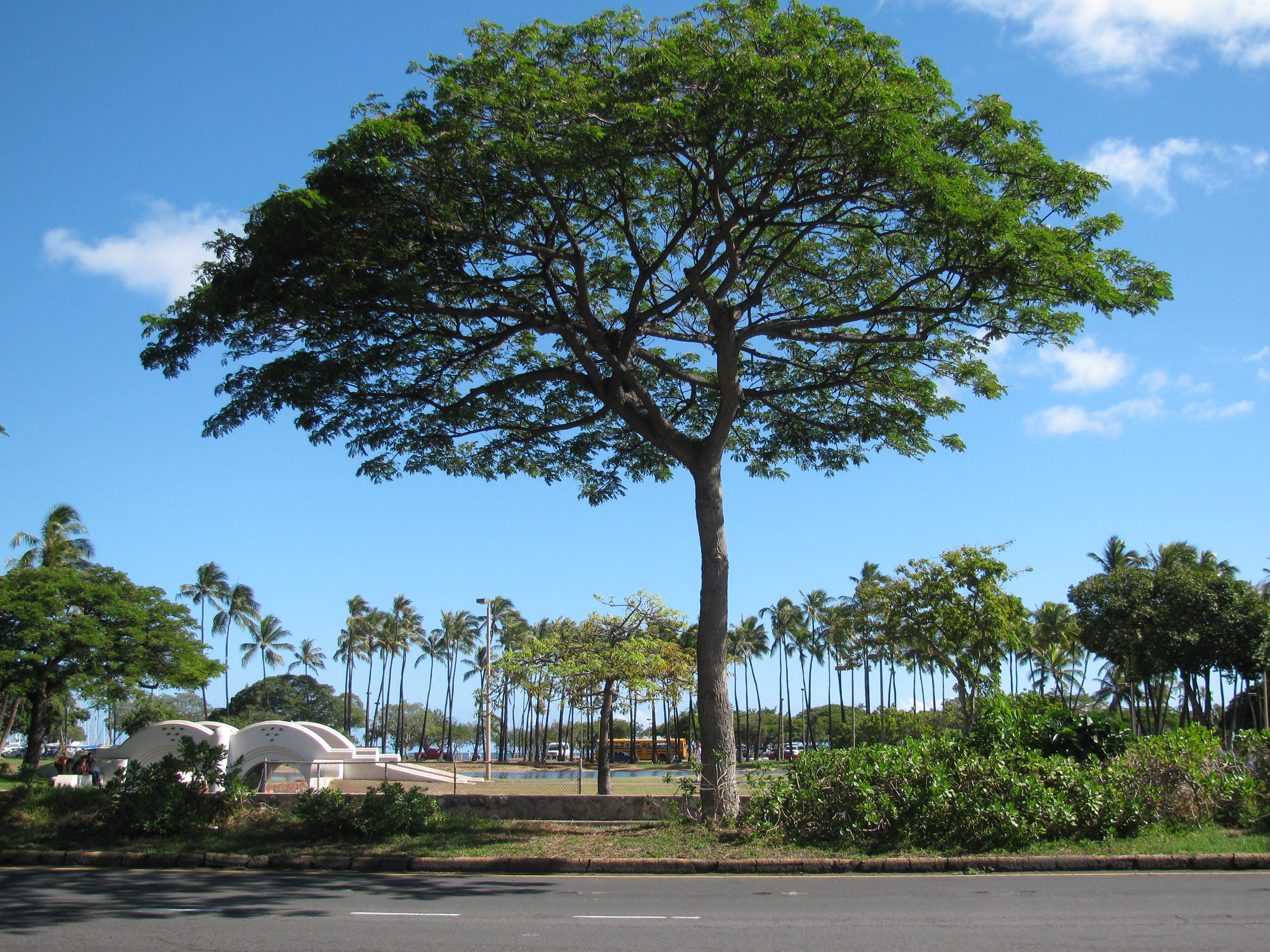Ala Moana Beach Park