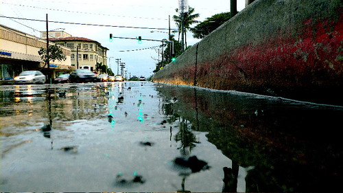 Curb Kaimuki
