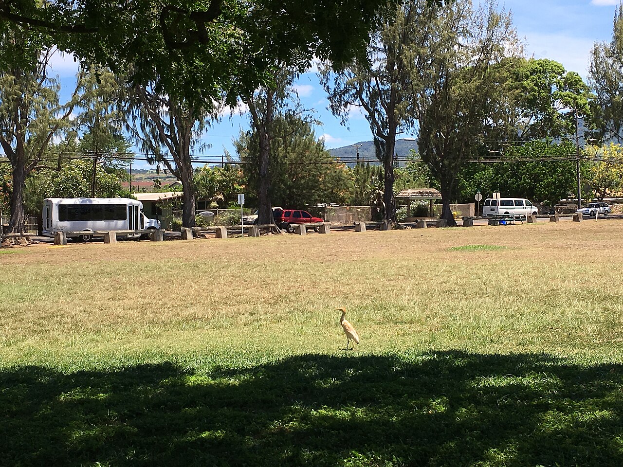 Haleiwa Ali'i Beach Park