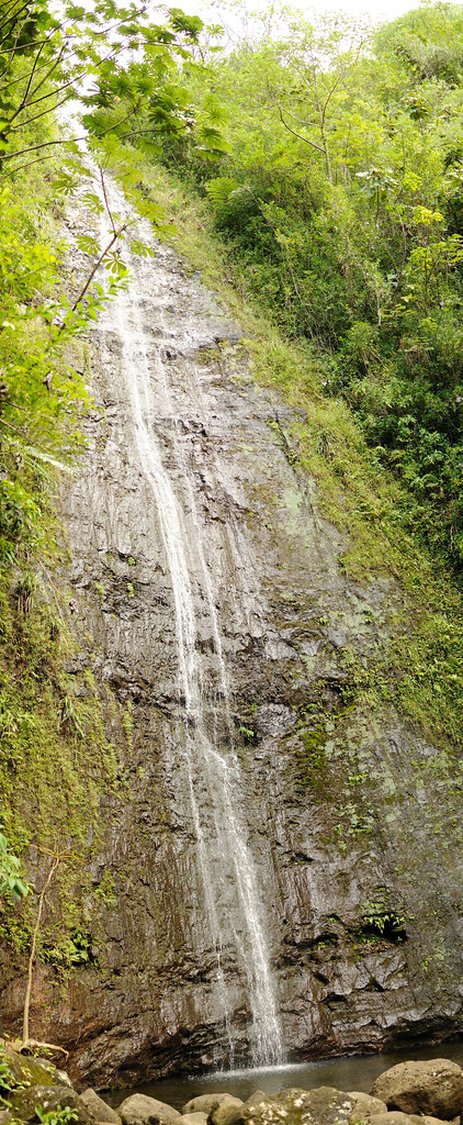Manoa Falls Trail