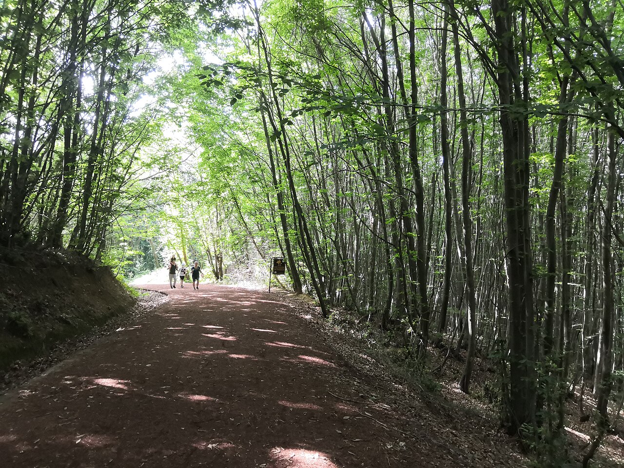 Polonezköy Tabiat Parkı