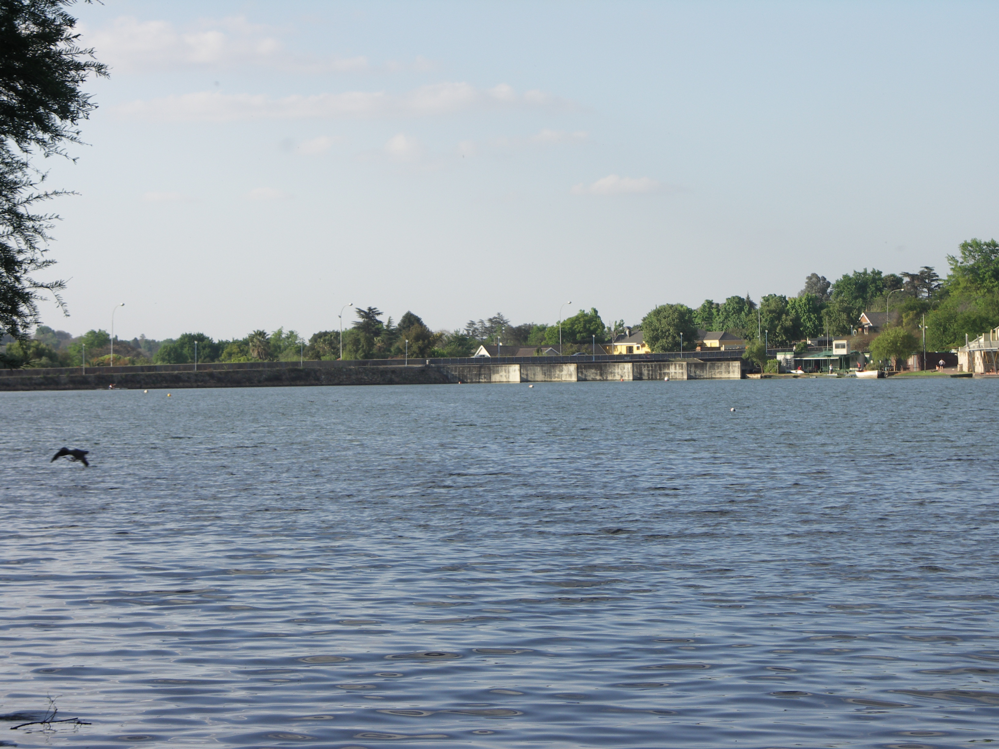 Johannesburg Botanical Garden and Emmarentia Dam