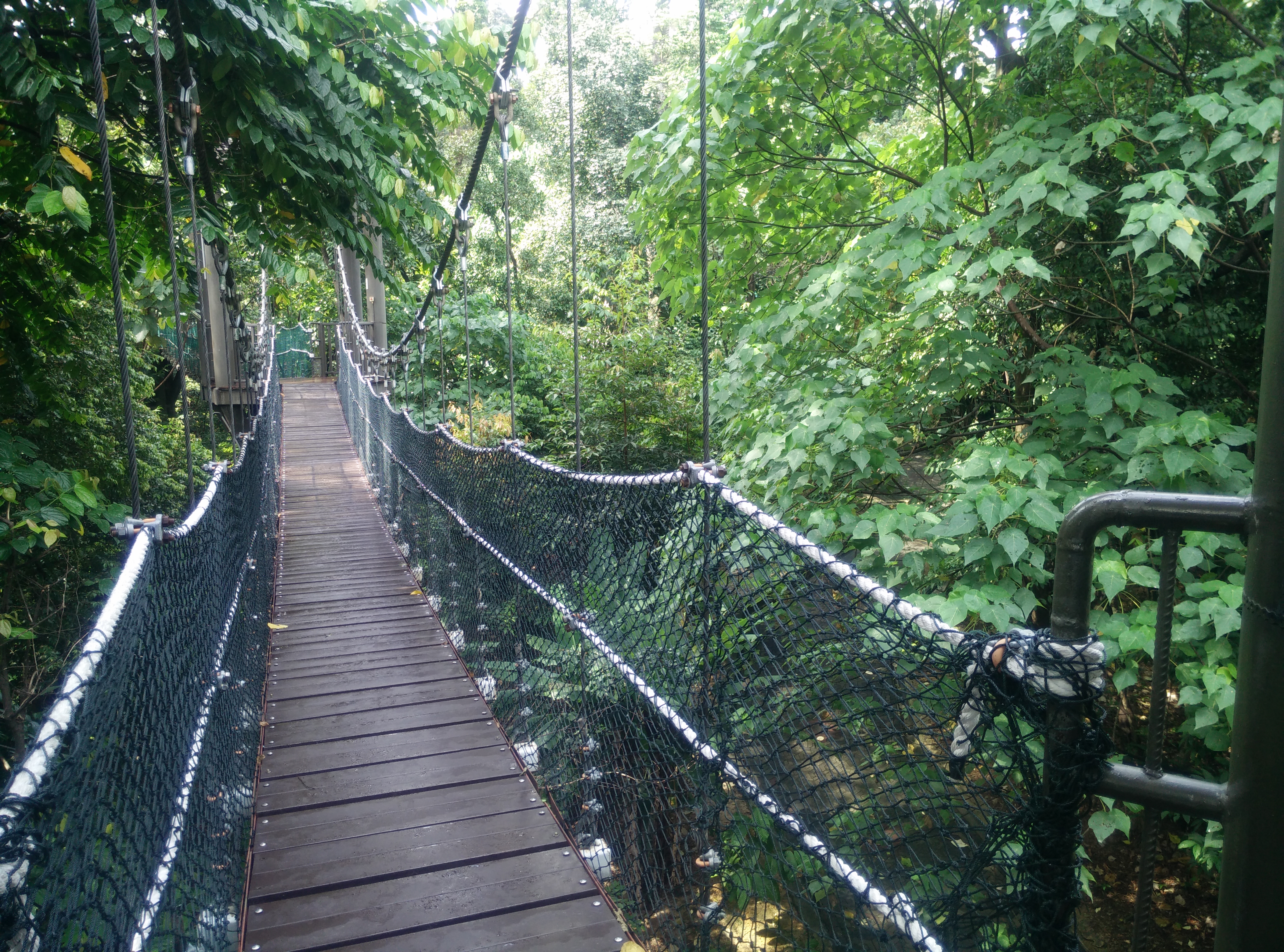 KL Forest Eco Park