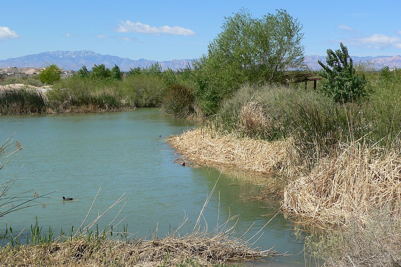 Wetlands Park