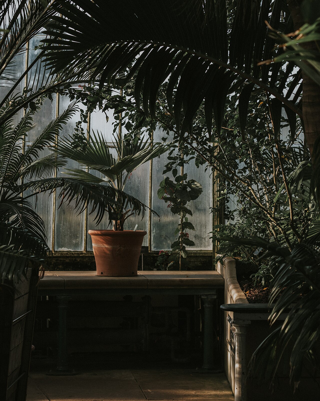 Richmond & Kew Gardens