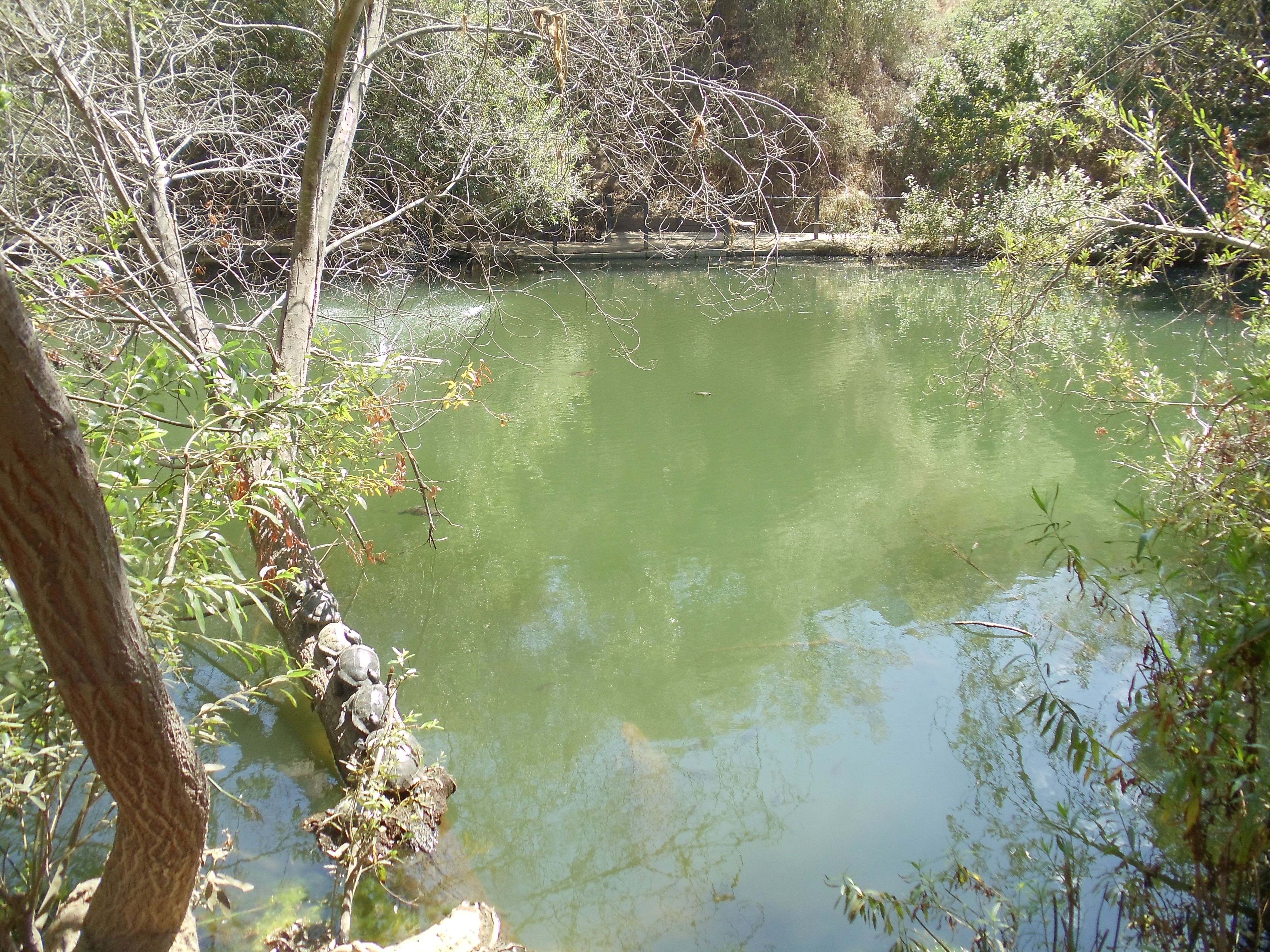 Franklin Canyon Park