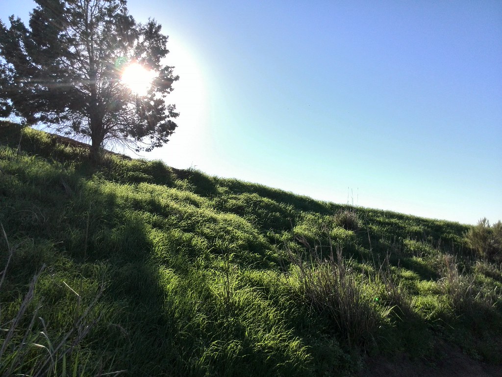 Kenneth Hahn State Recreation Area