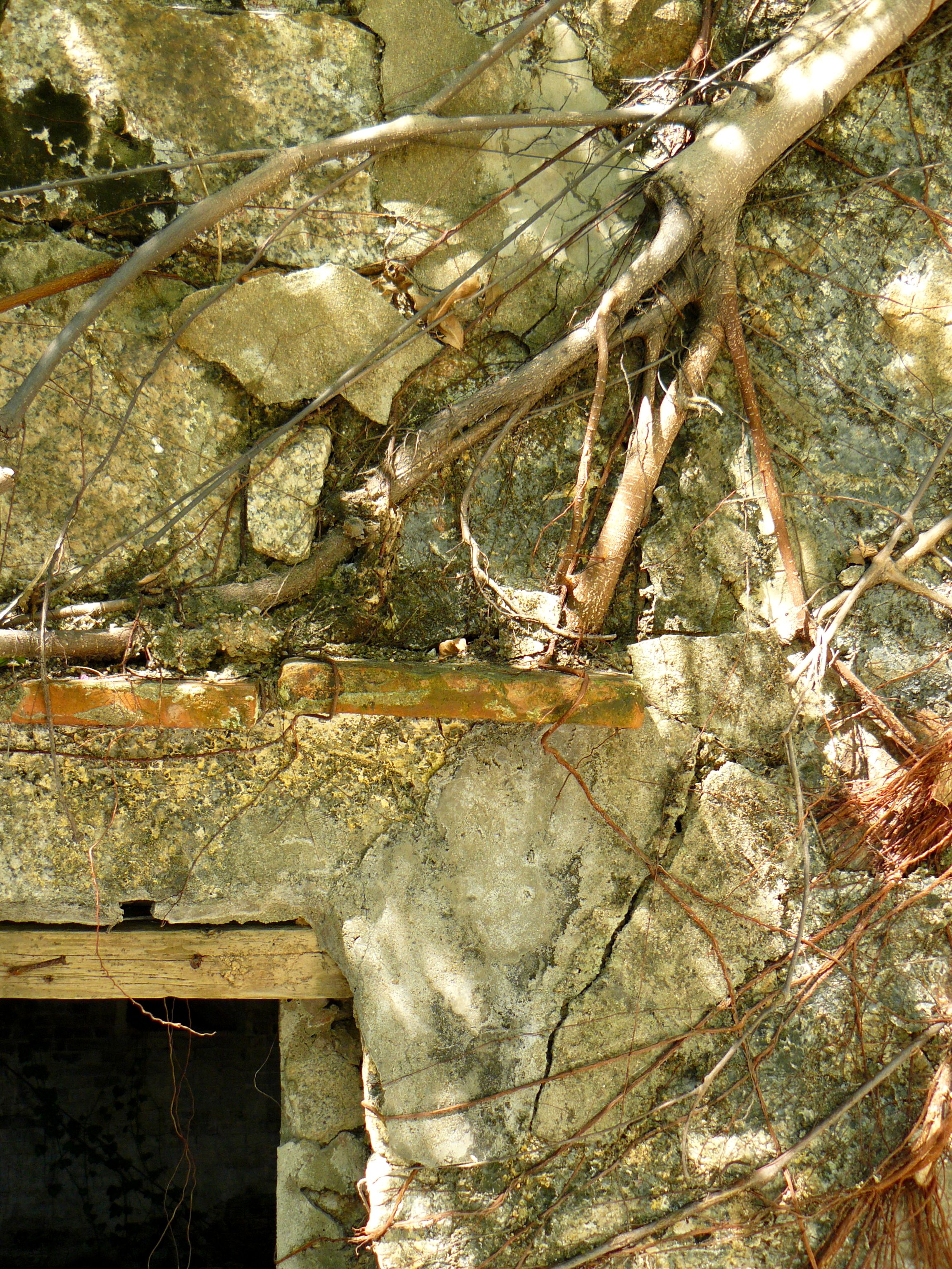 Coloane Village