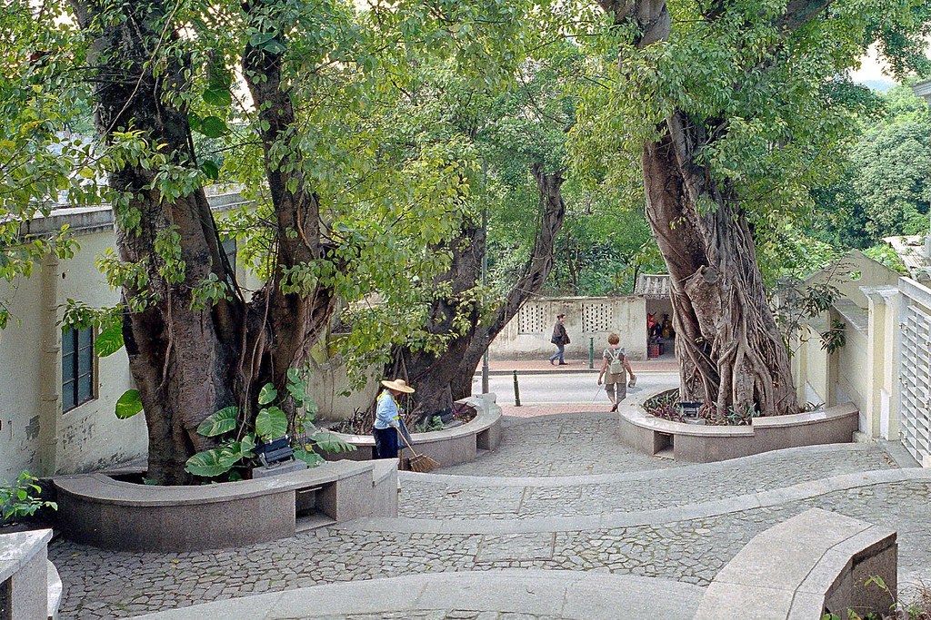 Taipa Village