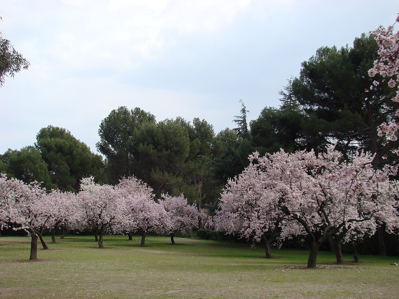 Parque de la Quinta de los Molinos