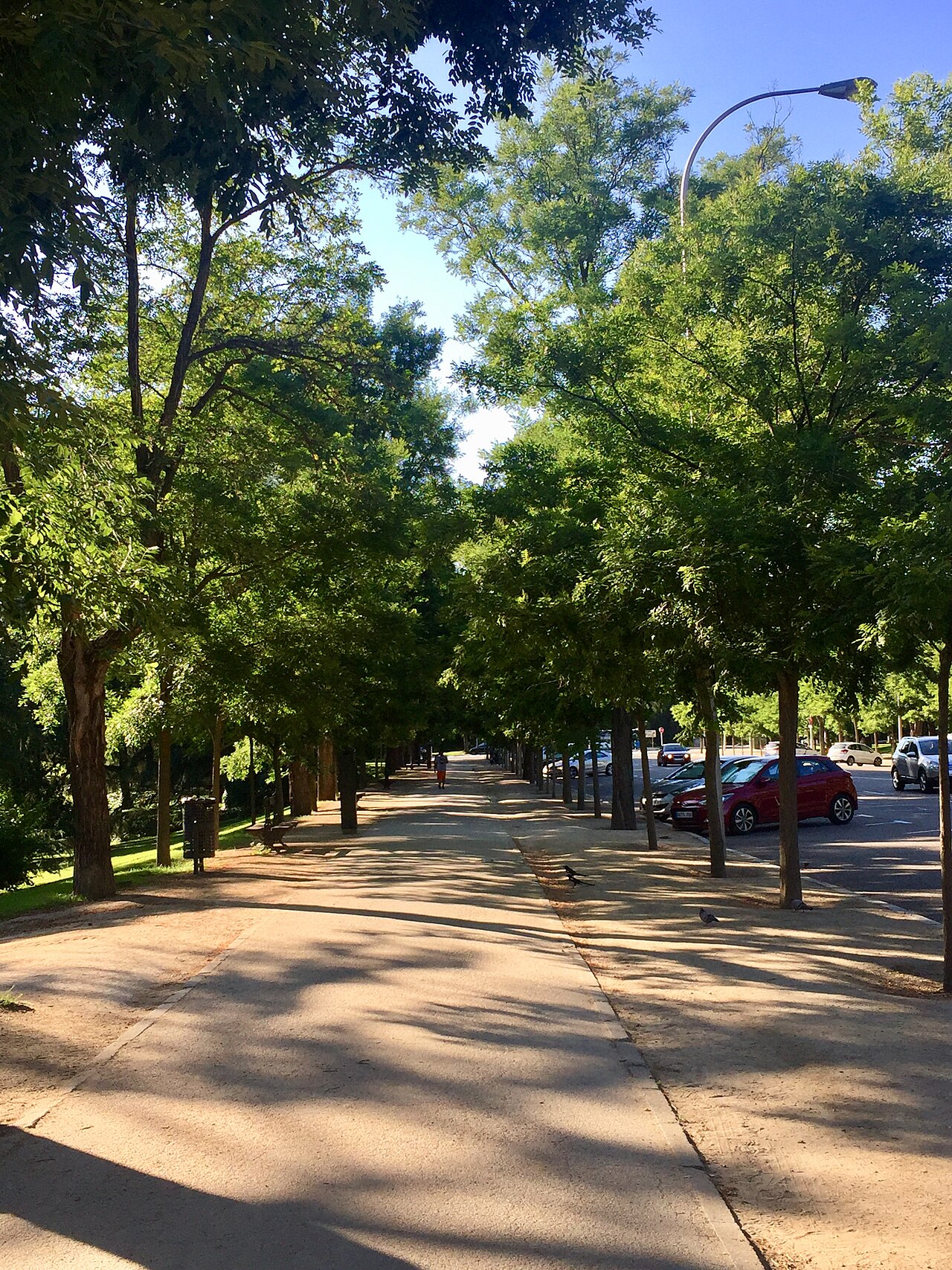 Parque del Oeste