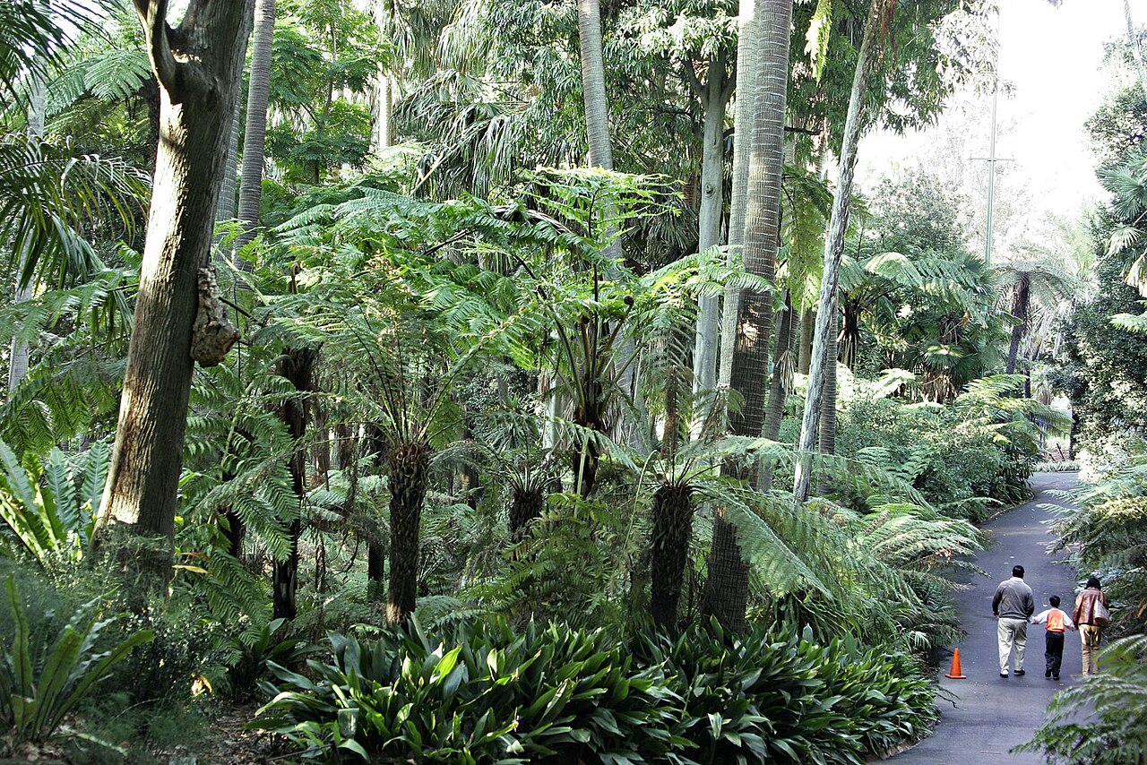 Royal Botanic Gardens Victoria - Melbourne Gardens