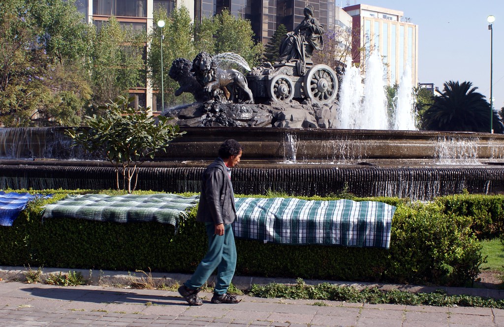 Roma Norte