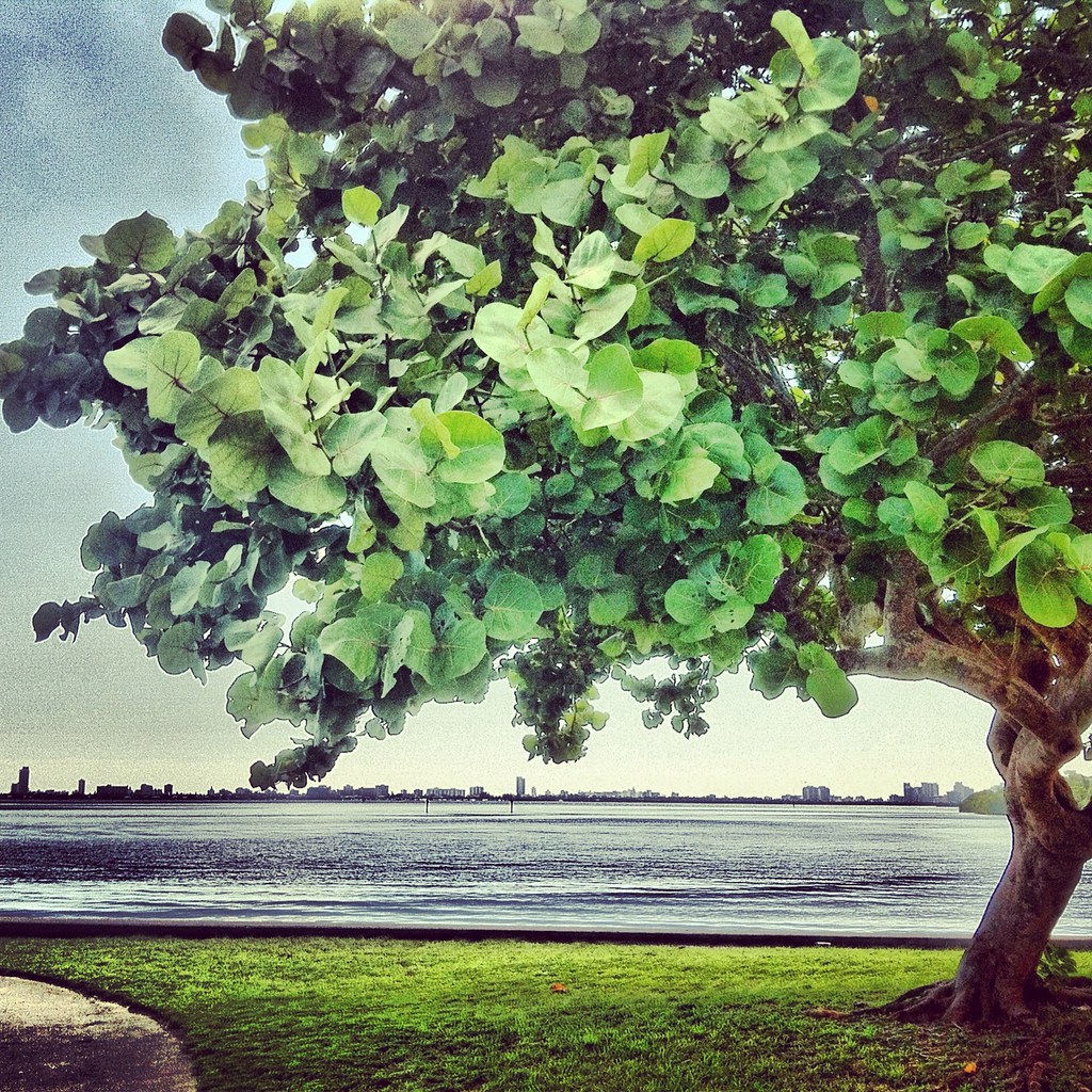 Baywood Park
