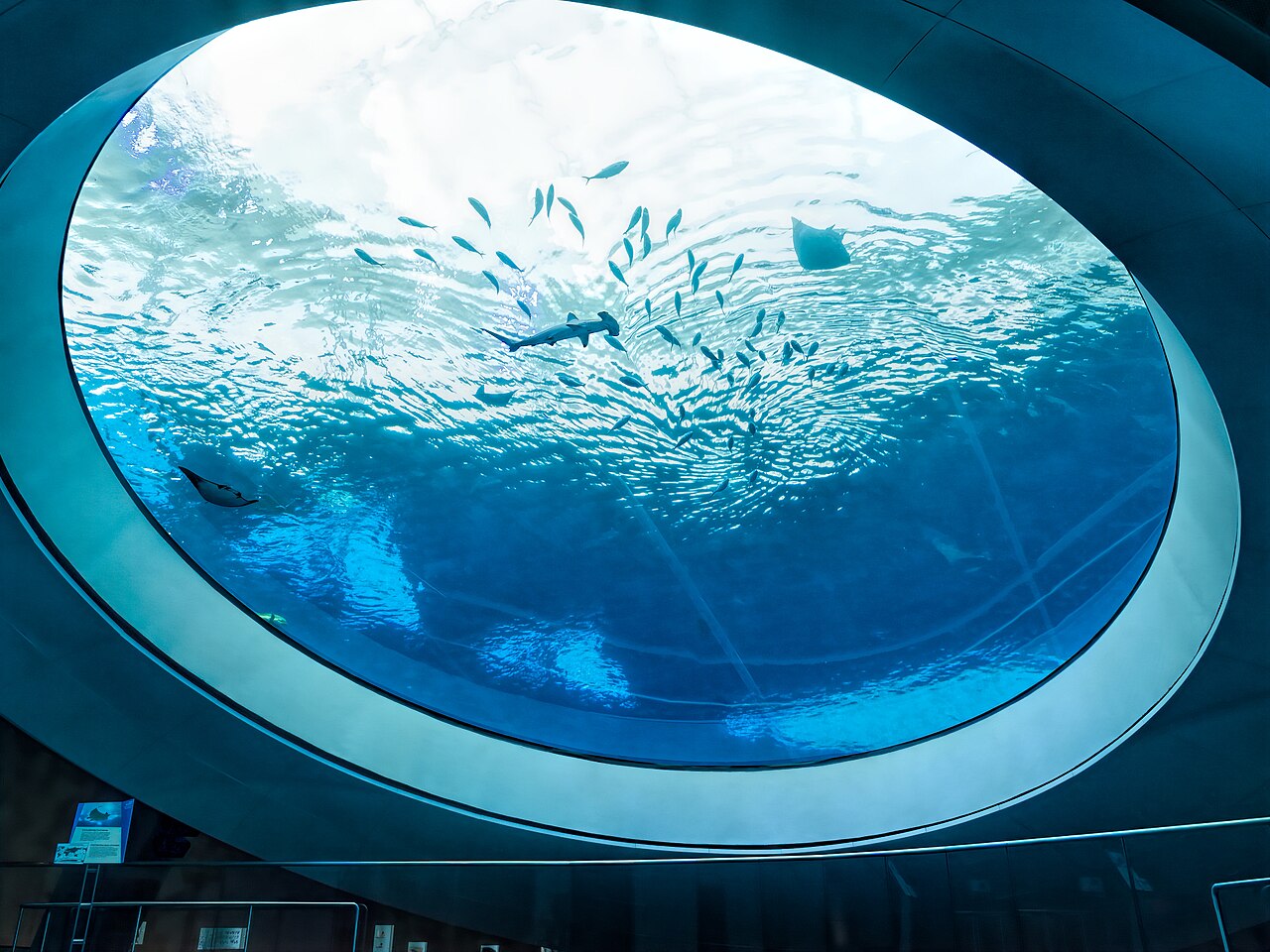 Frost Museum of Science