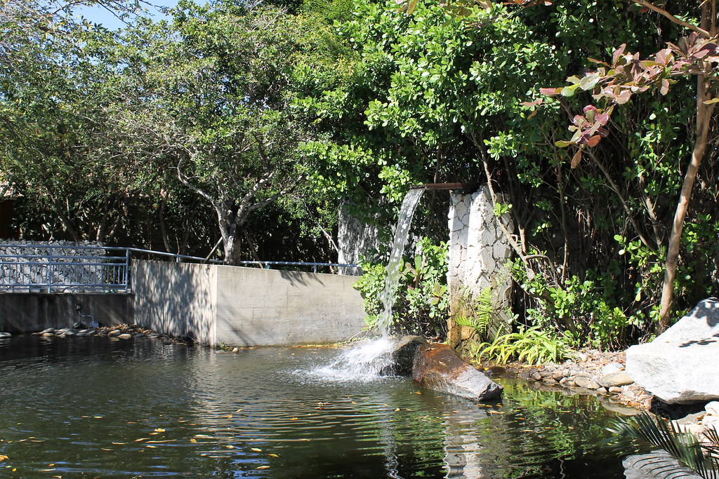 Ichimura Miami Japan Garden