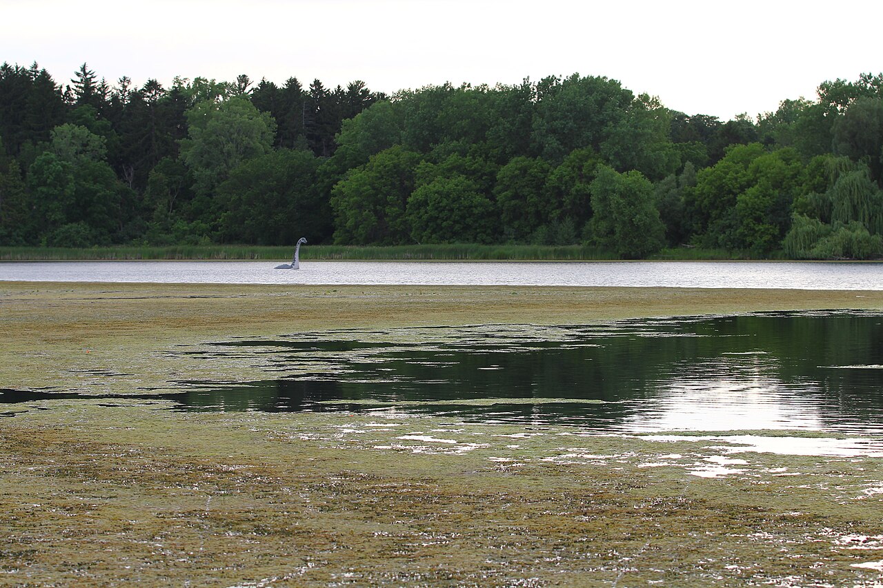 Wirth Beach (Wirth Lake)