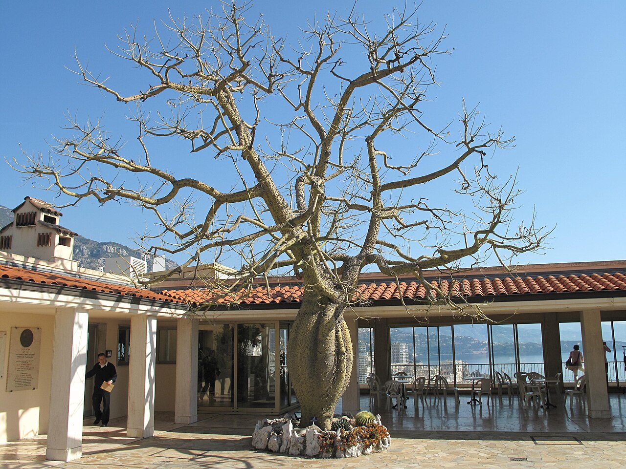 Jardin Exotique de Monaco