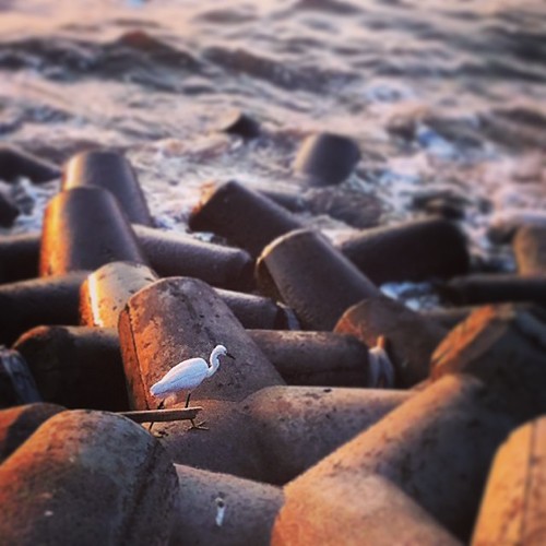 Shivaji Park