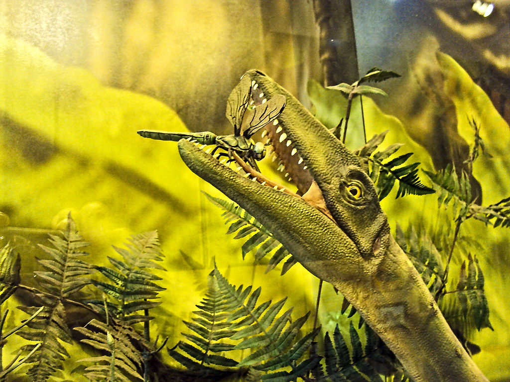 Audubon Insectarium