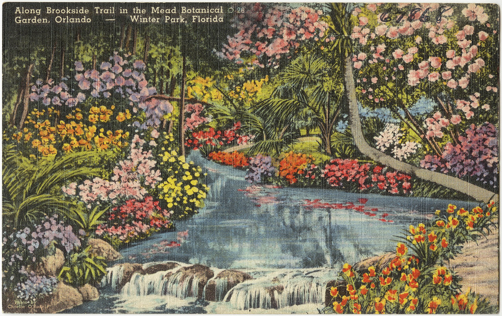 Mead Botanical Garden
