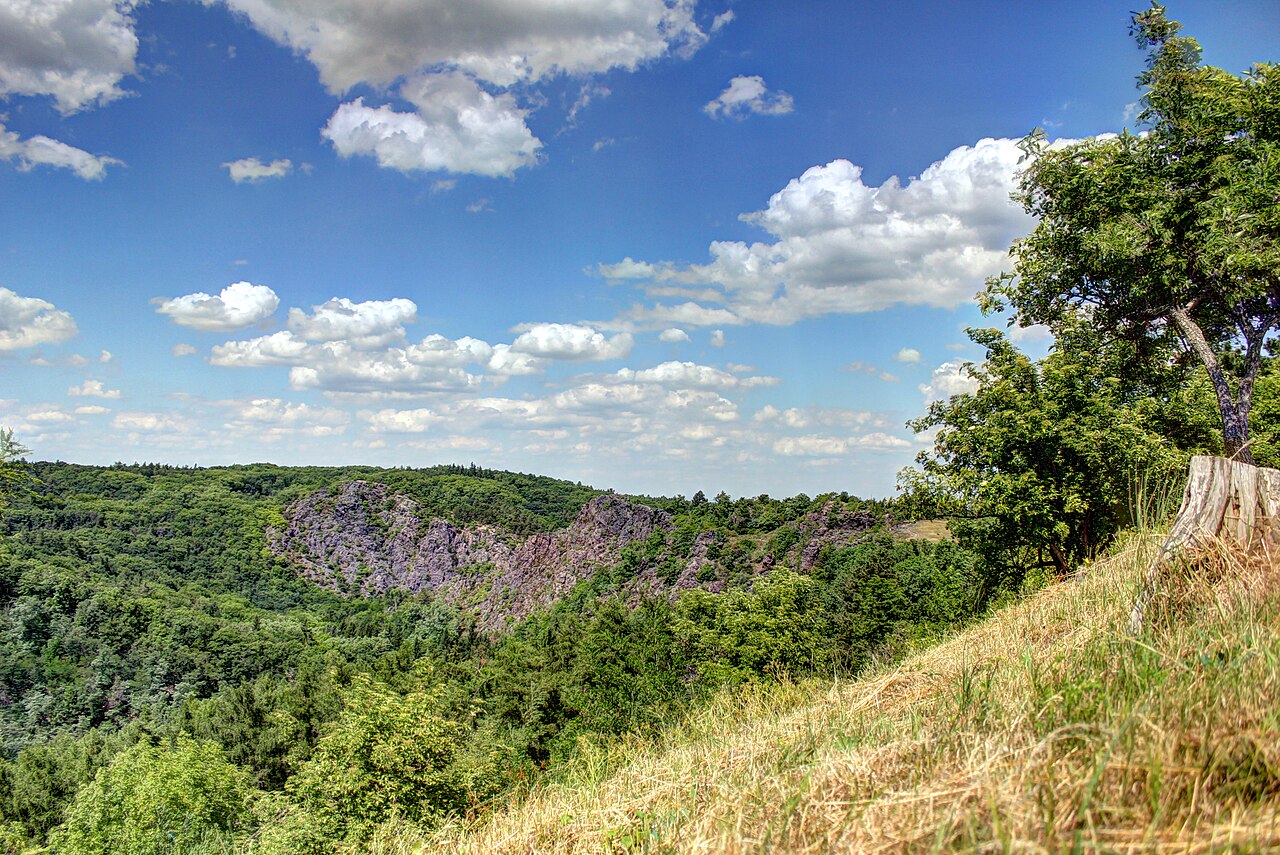 Divoká Šárka Nature Reserve