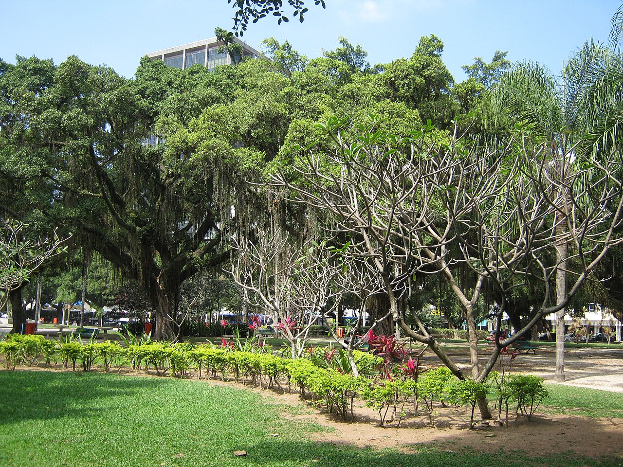Ipanema