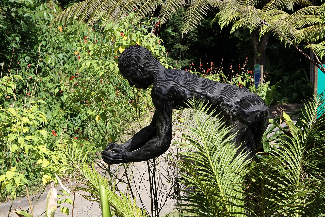 Parque Nacional da Tijuca (Tijuca National Park)