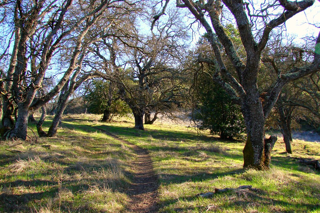 Almaden Quicksilver County Park