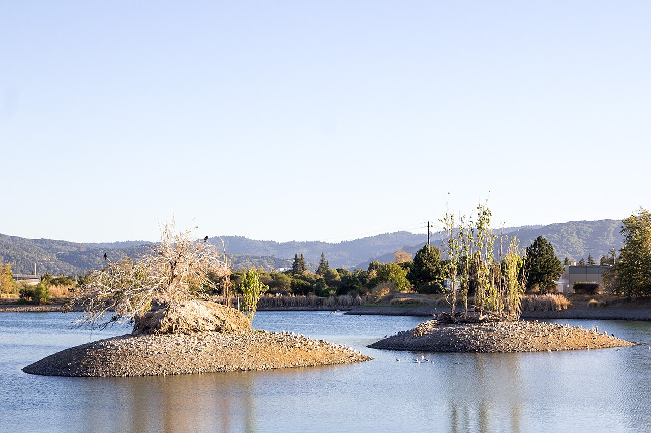 Los Gatos Creek Trail (Campbell / Los Gatos section)