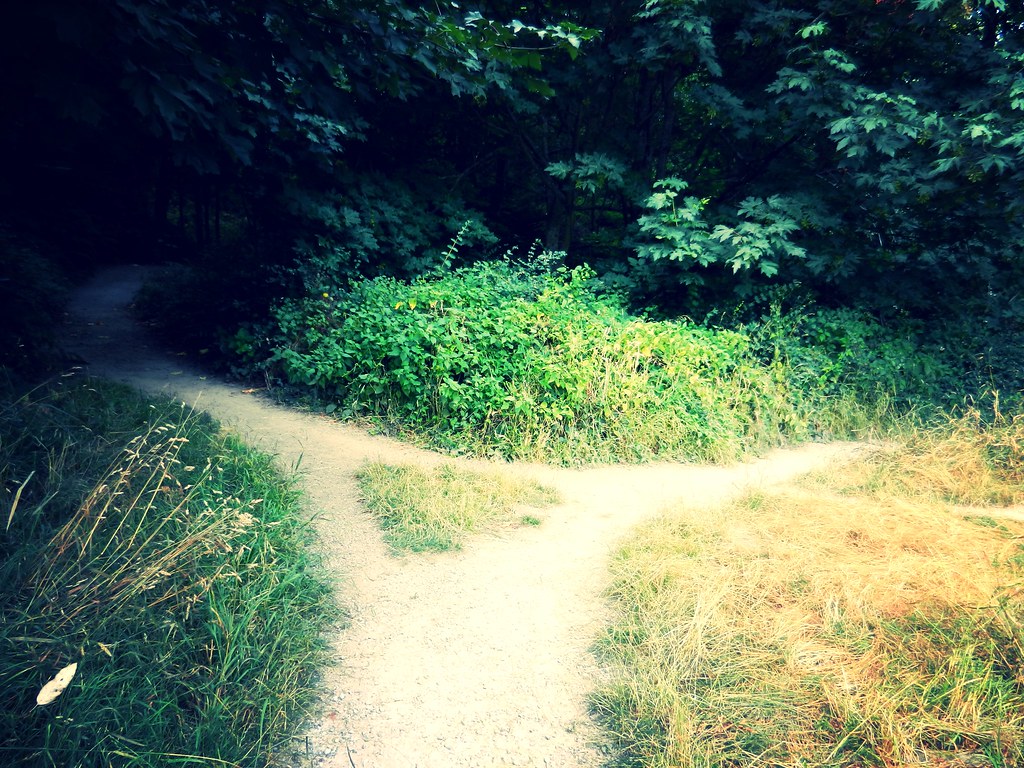 Discovery Park