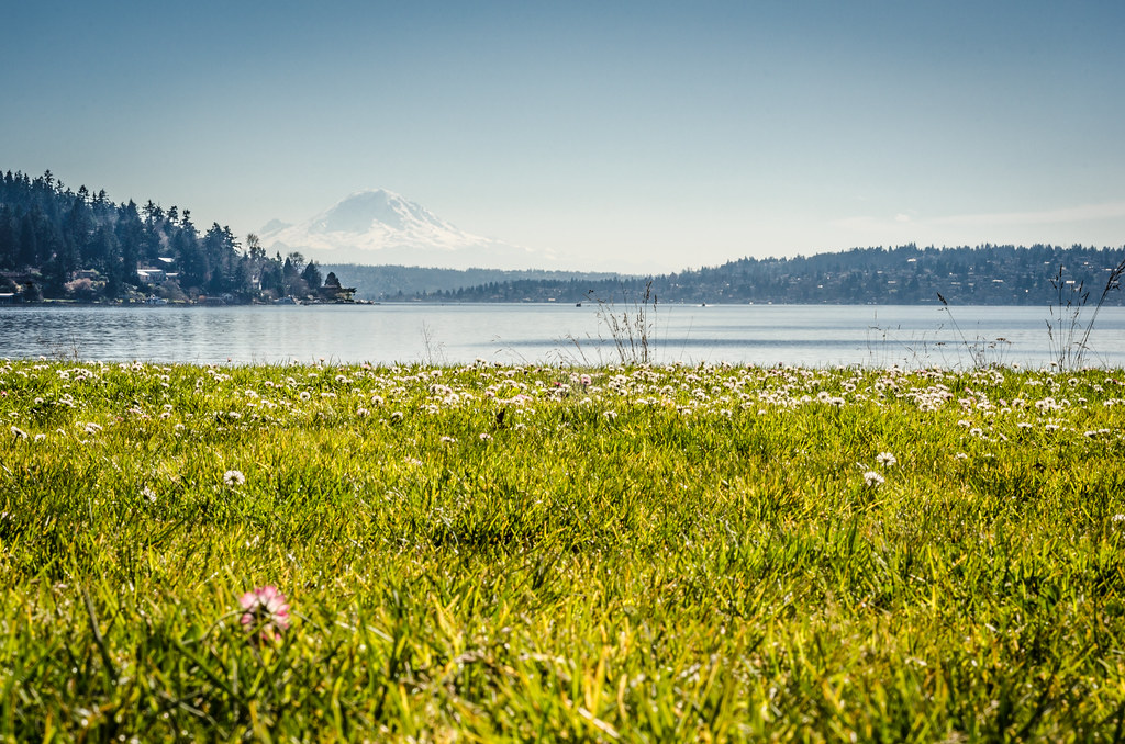 Seward Park Beach