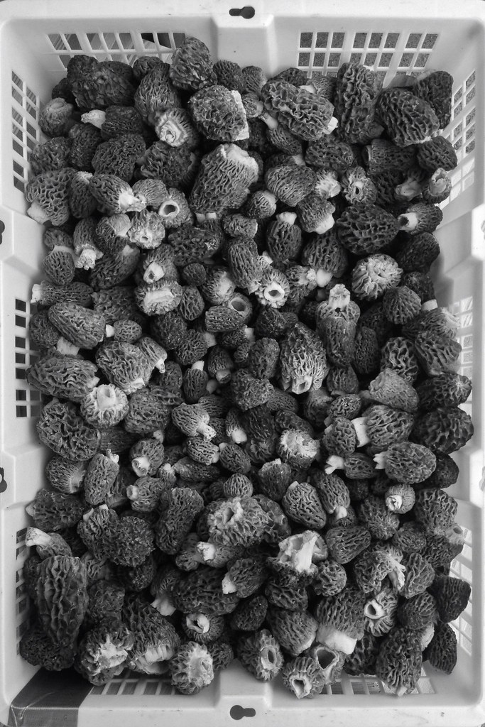 University District Farmers Market
